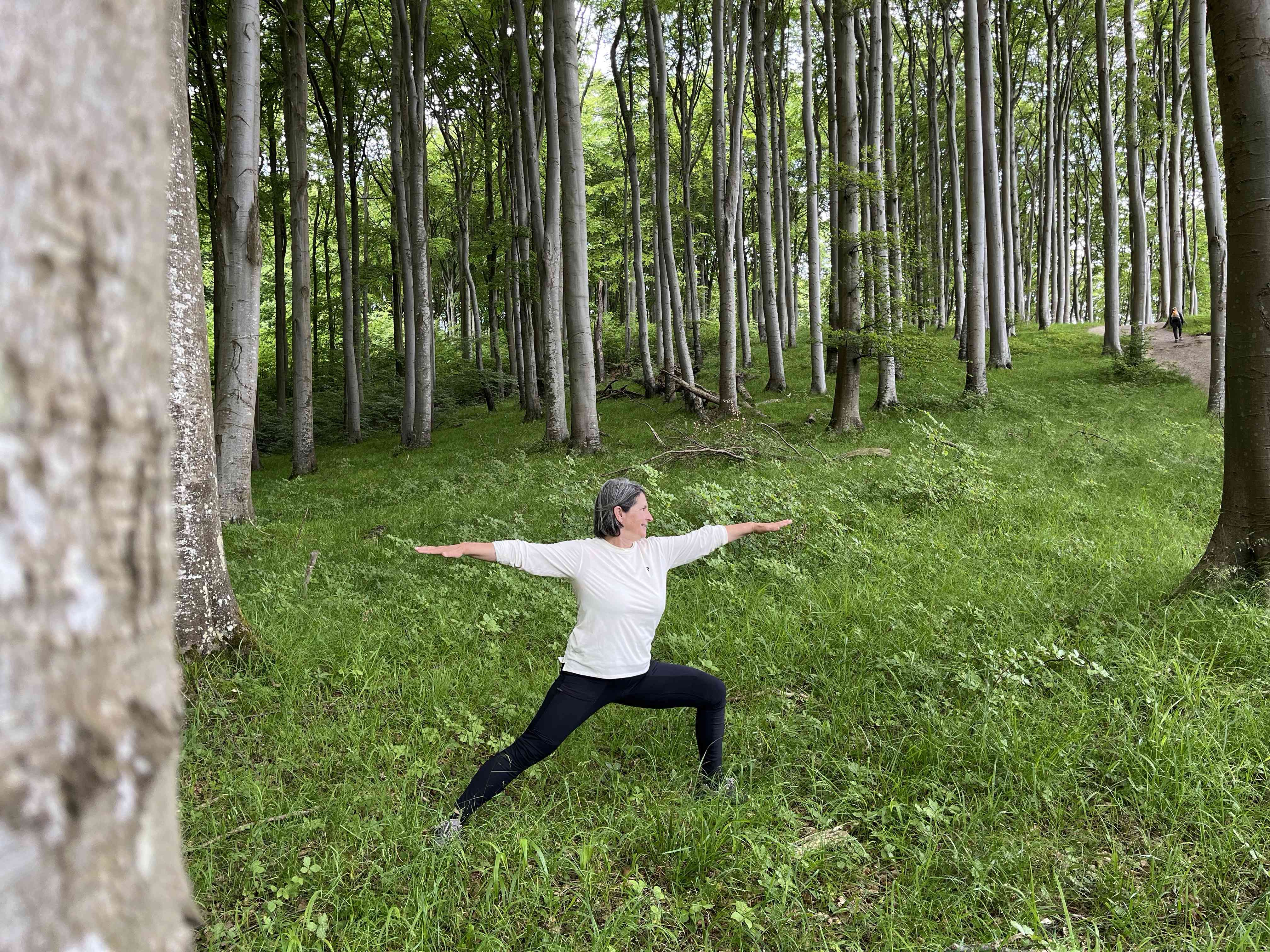 Virabhadrasana II